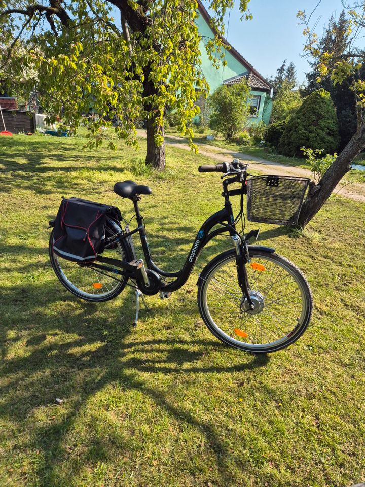 Elektro Fahrrad in Heckelberg-Brunow