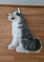 Husky Kuscheltier Deko ca 56cm hoch XXL Kuscheltier Hannover - Vahrenwald-List Vorschau