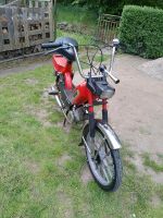 Moped/Mofa Solo 712 Sachsen - Wurzen Vorschau