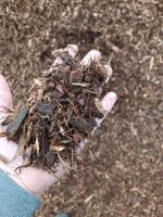 Rindenmulch , Kieferrindenmulch Nordrhein-Westfalen - Steinfurt Vorschau