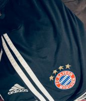 ⚜️Sport Shorts -Adidas -FCBayern- Gr.164 Sachsen - Grimma Vorschau