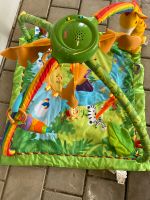 Spielbogen Fisher Price Baden-Württemberg - Staig Vorschau