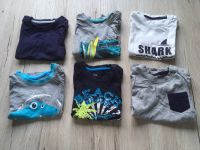 6 T-Shirts Lupilu 86/92 Jungen kurzarm Shirt Sachsen - Lengenfeld Vogtland Vorschau