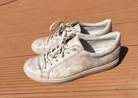Eccco Damen Soft Classic Sneaker Gr. 40 in Limestone Hessen - Eppertshausen Vorschau