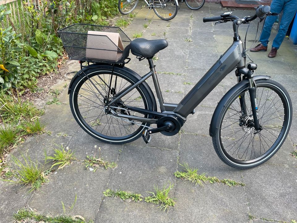Alu City E-Bike Geniesser 3.3 in Rellingen