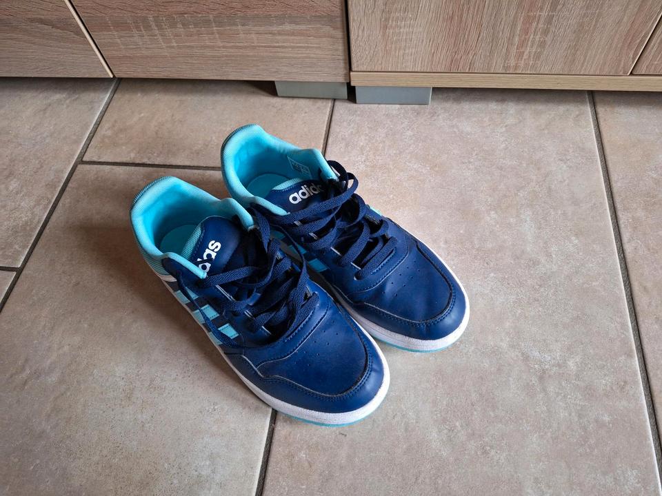 Adidas Sneaker Schuhe Blau 40 kaum getragen Low Cut Hoops 3.0 in Emsbüren
