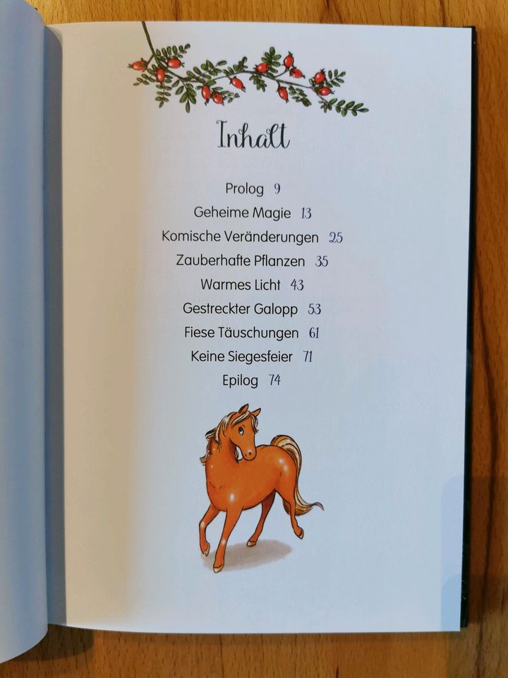 2 Bücher über Ponys und Pferden, 1.Klasse in Lutzerath