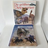 Dinosaurier Bücher 2 Stück Nordrhein-Westfalen - Bottrop Vorschau