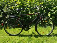 Herren Fahrrad Classic 28 Zoll Alu Shimano 3 Gang Bochum - Bochum-Mitte Vorschau