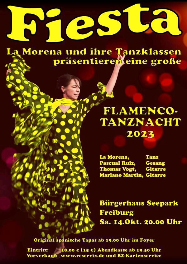 Flamencotanz für alle Stufen in Freiburg im Breisgau