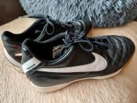 Nike Hallensportschuhe/Turnschuhe Gr.42 unisex Sachsen - Kirchberg Vorschau