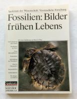 Fossilien Fachmagazin Verständliche Forschung Nordrhein-Westfalen - Ratingen Vorschau