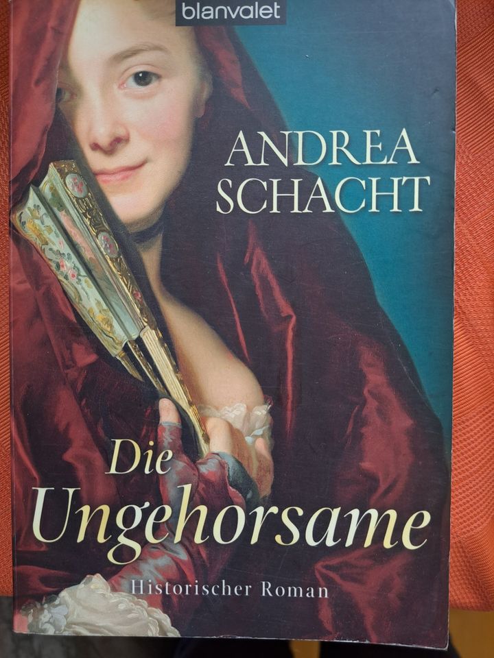 Schacht Andrea Vandenberg Philipp Historische Romane Krimis Tod in Markt Indersdorf