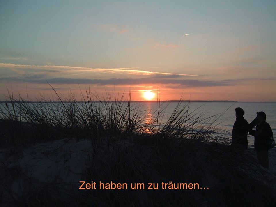 Schöne Ferienwohnung mit Hund Ostsee Wendtorf Strand ca. 500 m ab in Wendtorf