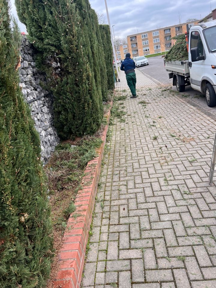 Hecken.Baum.Rollrasen.Garten Pflege in Düren