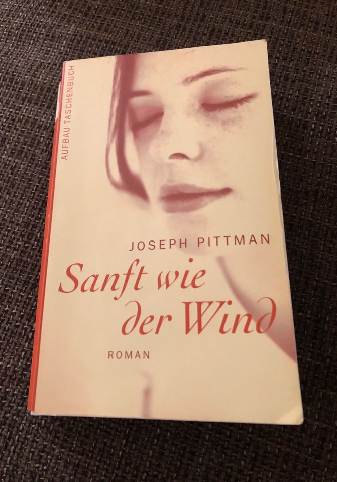 Roman Sanft wie der Wind in Nordhausen