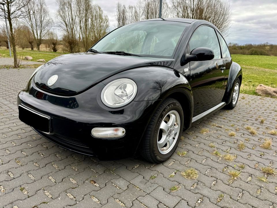 Volkswagen New Beetle / Käfer 1.6 mit TÜV Neu 01-2026 in Laatzen