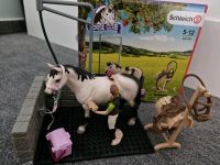 Schleich horse Club Waschplatz 42104 Niedersachsen - Elze Vorschau