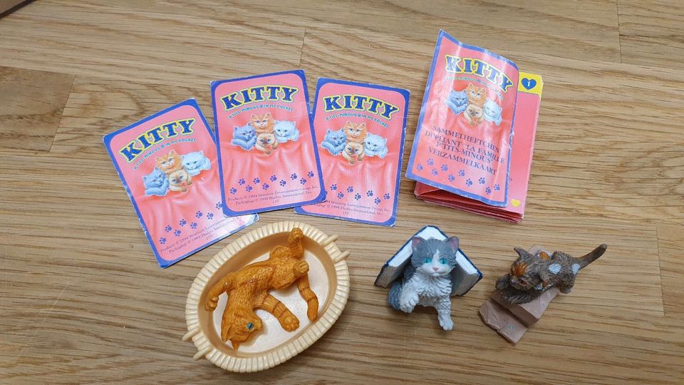 Hasbro kitty in my pocket morrison 94 set 90er 90s sammeln Katze in Biebelnheim