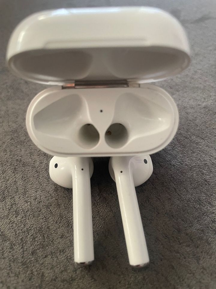 Original Apple AirPods in Frankenthal (Pfalz)