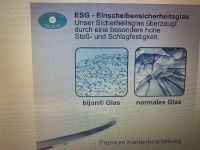 Bijon-Glasplatte Rundbogen für Kaminöfen mit Dichtlippe Thüringen - Themar Vorschau