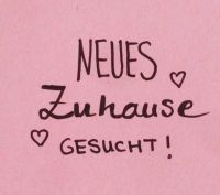 Neues Zuhause dringend gesucht!!! Nordrhein-Westfalen - Warendorf Vorschau