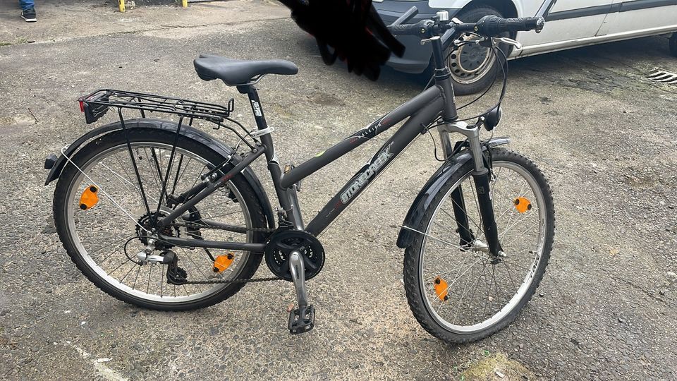 Raleigh 26 Zoll in Eltville