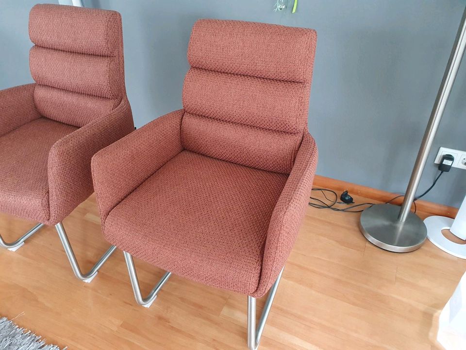 Stühle / Freischwinger Sessel in Emmendingen