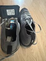Sportschuhe Bonn - Tannenbusch Vorschau