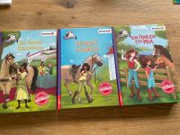 Schleich Horse Club Bücher Nordrhein-Westfalen - Tecklenburg Vorschau