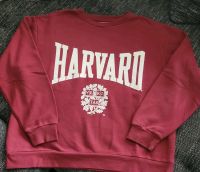 Harvard Pullover H&M Bayern - Kitzingen Vorschau