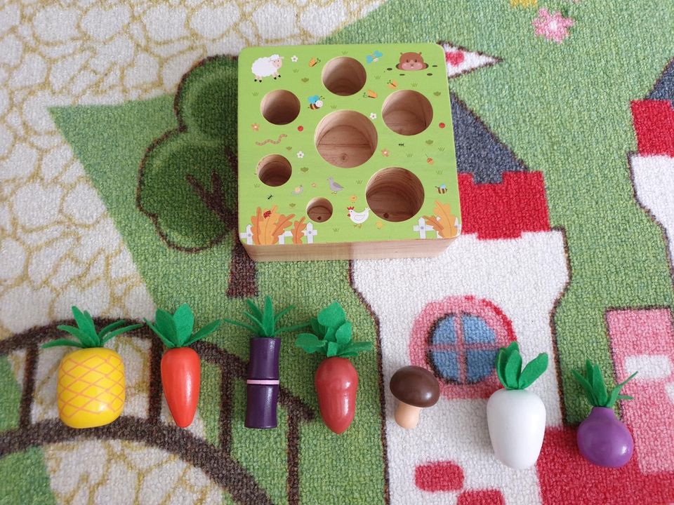 Montessori Spielzeug / Motorik Gemüsebeet in Offenburg