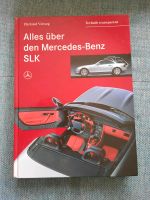 Alles über den Mercedes-Benz SLK Baden-Württemberg - Erligheim Vorschau