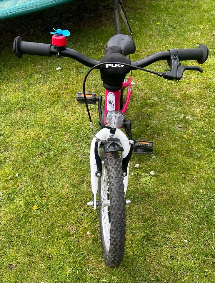 Puky cyke 16 Zoll in Molbergen
