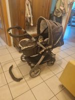 Kinderwagen teutonia Baden-Württemberg - Friedrichshafen Vorschau