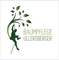 Baumpflege/Fällung Hessen - Butzbach Vorschau