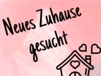 Wohnung gesucht Bad Berneck bis +-20km Bayern - Bad Berneck i. Fichtelgebirge Vorschau