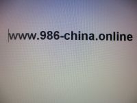 Domain "986-china.online" zu verkaufen Baden-Württemberg - Ettlingen Vorschau