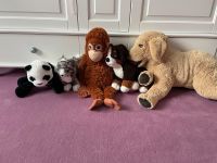 Ikea Kuscheltiere Affe, Panda, Katze, Golden Retriever, Berner Nordrhein-Westfalen - Raesfeld Vorschau