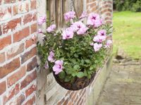 Vintage Blumenampel Pflanzampel Hängeampel Gusseisen Gartendeko Thüringen - Weimar Vorschau