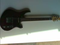 E-Gitarre Peavey Raptor Plus Tk Baden-Württemberg - Aalen Vorschau