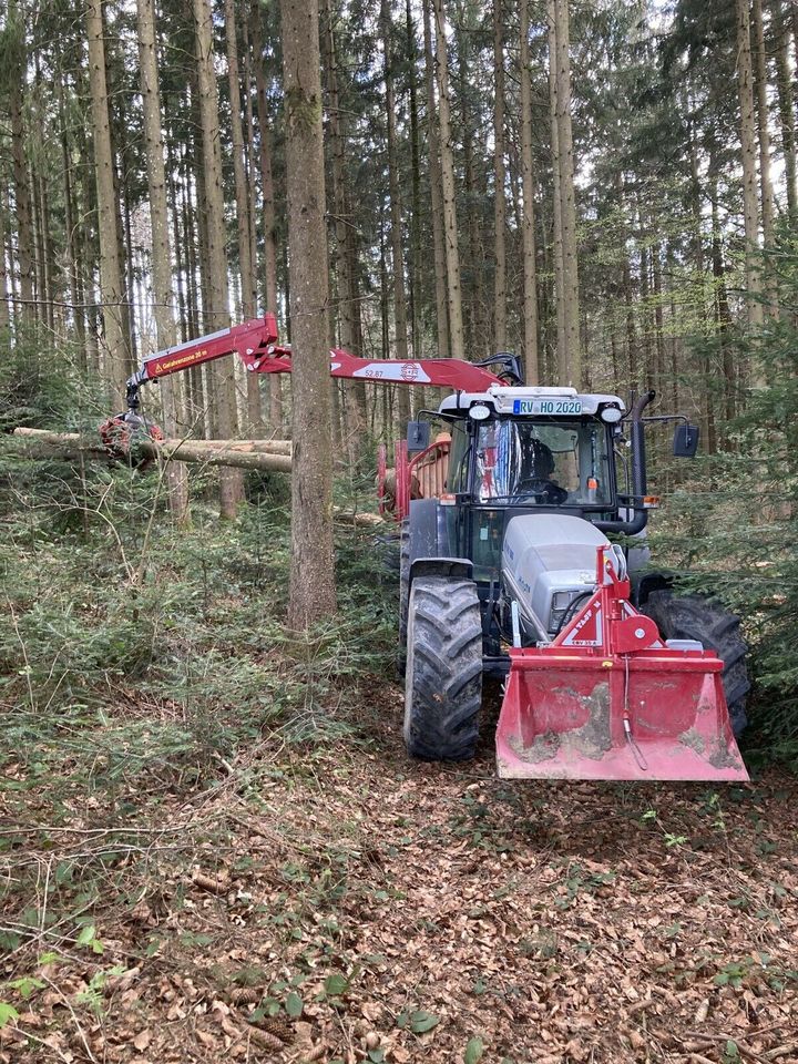 Baumfällung, Rodungen, Wald- & Forstarbeiten, Landschaftpflege in Bad Schussenried