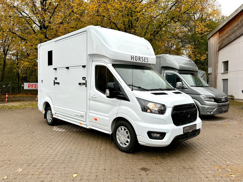 FORD Roelofsen Parados 2-Pferdetransporter Schalter SONDERPREIS in Vaterstetten