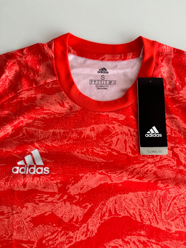 Adidas Torwart Trikot, Adipro 19, S, neu, Climate in Mainz