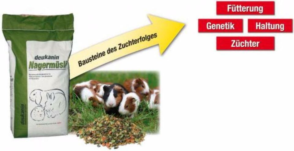 Meerschweinchen, Kaninchen, Nagerfutter günstig ab Lager/ Versand in Dortmund