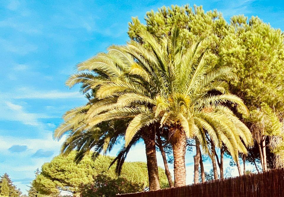 Ferienhaus Costa de la Luz - Andalusien in Großefehn