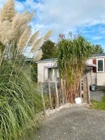 Chalet/Mobilheim Renesse Zeeland Camping de Brem Nordrhein-Westfalen - Merzenich Vorschau