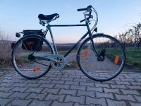 Hercules Fahrrad Hessen - Gernsheim  Vorschau