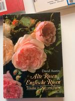 David Austin   alte Rosen und Englische Rosen Baden-Württemberg - Wertheim Vorschau