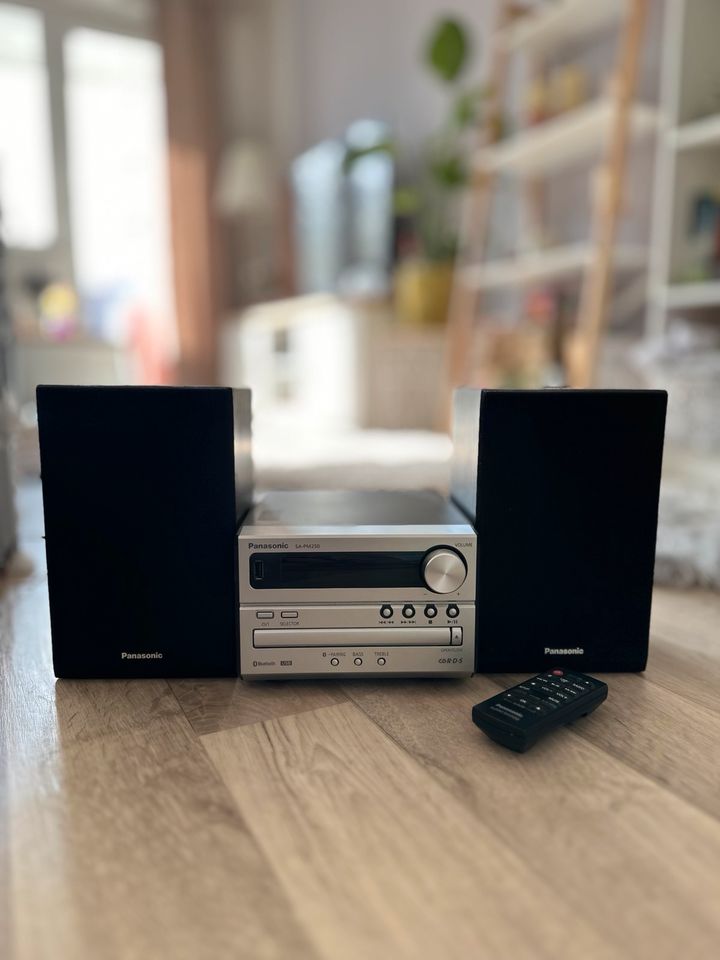 Panasonic Hifi Anlage SA-PM250 in Neubrandenburg